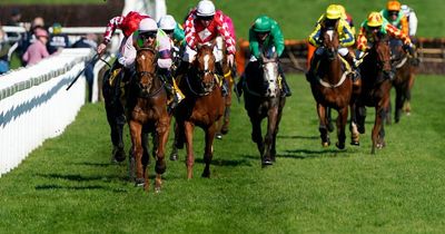 Cheltenham Festival 2022: Vauban powers to victory in the Triumph Hurdle