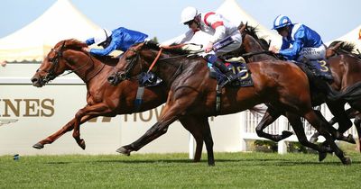 British raider Deauville Legend the hot favourite for 2022 Melbourne Cup