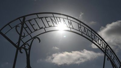 Cheltenham Festival 2023 tips today: Nube Negra can give Energumene a good run on day two