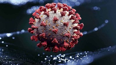 Biological Terrorism: China engineered Covid-19 "bioweapon" to purposely infect people, reveals Wuhan researcher
