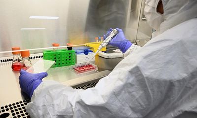 Political support for surveillance of Covid waning in Australia despite ‘waves of mutations’, scientists say