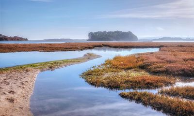 ‘The greatest biodiversity in England’ – a wander through the Isle of Purbeck ‘super’ nature reserve