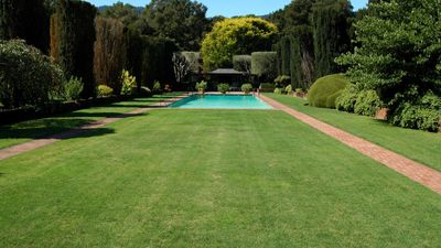 This lawn disease can be a major headache for anyone with Kentucky bluegrass – here's how to combat it