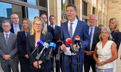 No stranger to controversy, Basil Zempilas hopes to revive the WA Liberals. Experts say he can’t afford more blunders