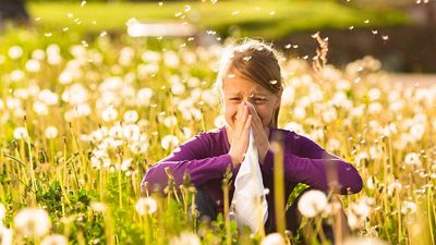 Nipping hayfever in the bud: These are the plants you should avoid if you have pollen allergies