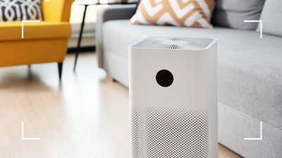 Can an air purifier help with allergies? We put it to the air treatment specialists