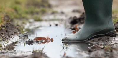 The Queensland melioidosis outbreak is still growing. What’s keeping this deadly mud bug active?