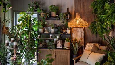 I'm hopping on these 5 eye-catching houseplant trends after being wowed by them at the Chelsea Flower Show 2025 – they're all easy to recreate at home