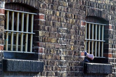 Chemical castration of sex offenders ‘worthwhile’ exploring – review chairman