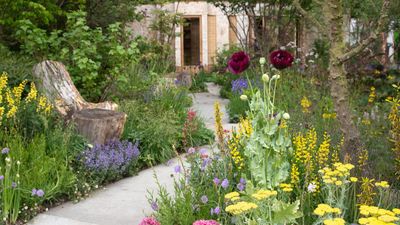 I spoke to the trees at the AI-powered garden at this year's Chelsea Flower Show – and I'm convinced this tech can revolutionize gardening in a changing climate