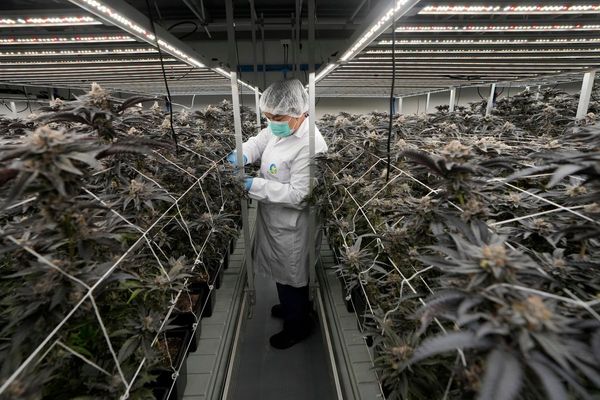 Thailand takes further step to tighten control on sales of cannabis