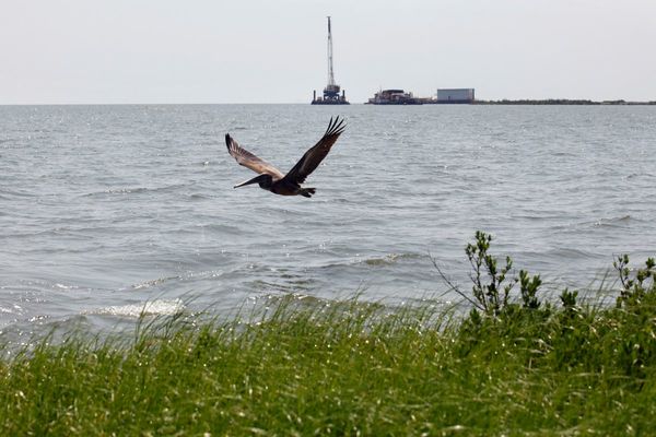 NTSB says company failed to shut down oil pipeline for nearly 13 hours after pressure dropped